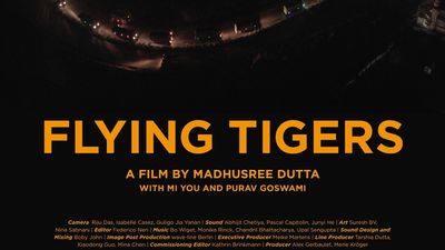 Flying Tigers Poster Image