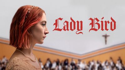 Lady Bird Poster Landscape Image
