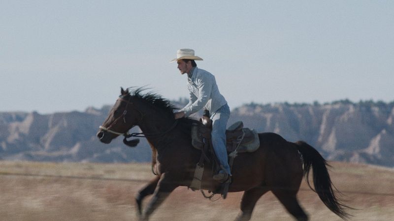 The Rider Backdrop Image