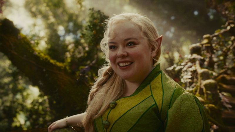 The Magic Faraway Tree Backdrop Image