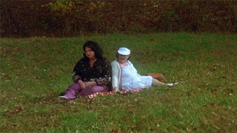 Polyester Backdrop Image