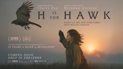 H Is for Hawk Poster Landscape Image