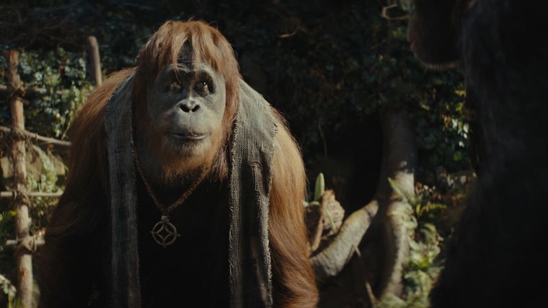 Kingdom of the Planet of the Apes Backdrop Image