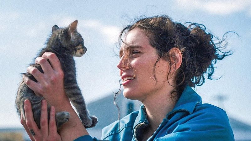 Sorry, Baby Poster Landscape Image